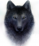 Tattoo Wolf