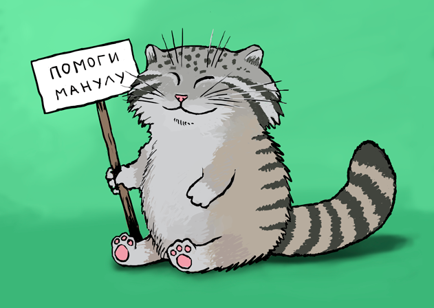 Мультяшный манул (cartoon manul)