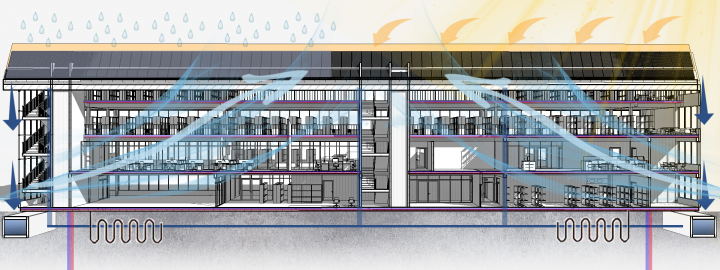 Разрез библиотеки