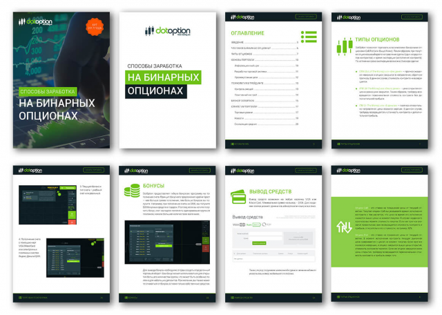 Брошюра проект + ( PDF интерактив )