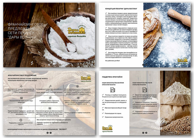 Презентация + (PDF интерактив)