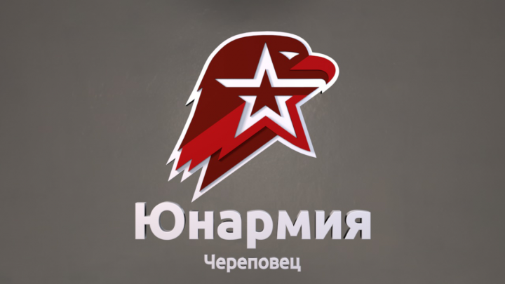 Логотип для Юнармия