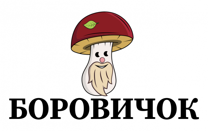 Логотип для интернет-магазин Боровичок