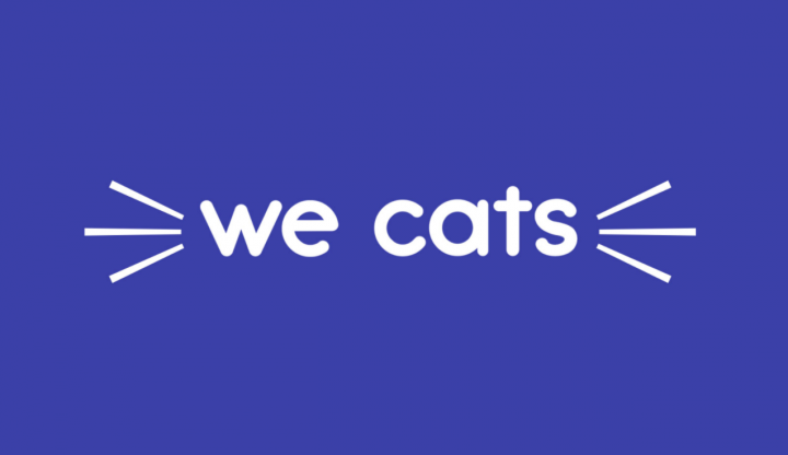 We cats