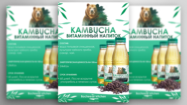 Дизайн полиграфии a4 для напитка KAMBUCHA
