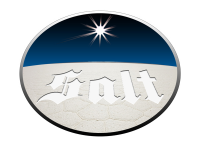 Логотип Salt