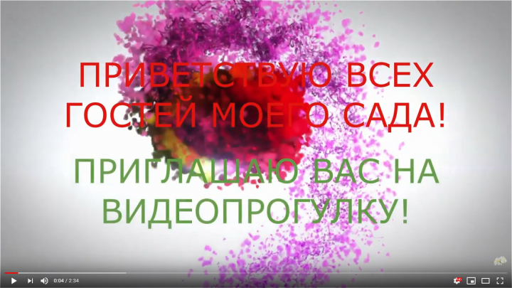 Ролик на основе фотографий