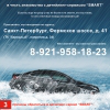 Детейлинг-сервис