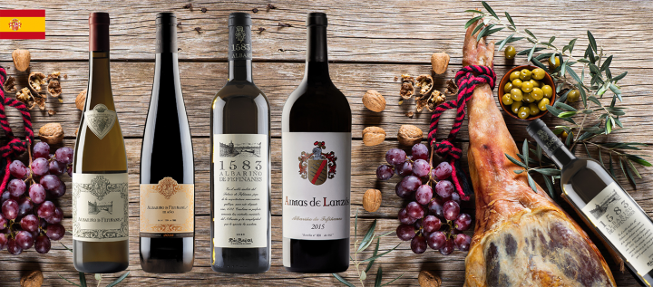 Баннер для сайта