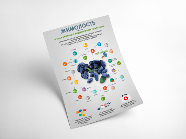 Инфографика жимолость