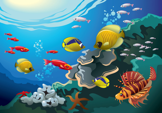 Coral reef