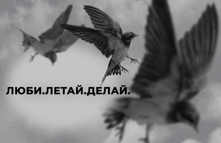 баннер