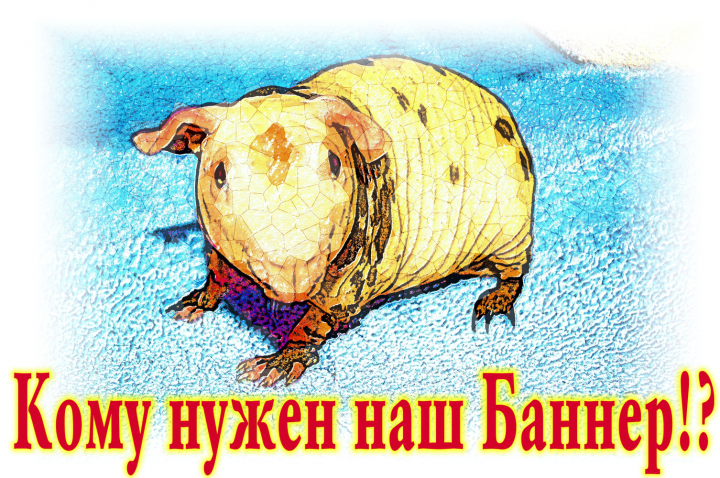 - Вам нужен баннер?