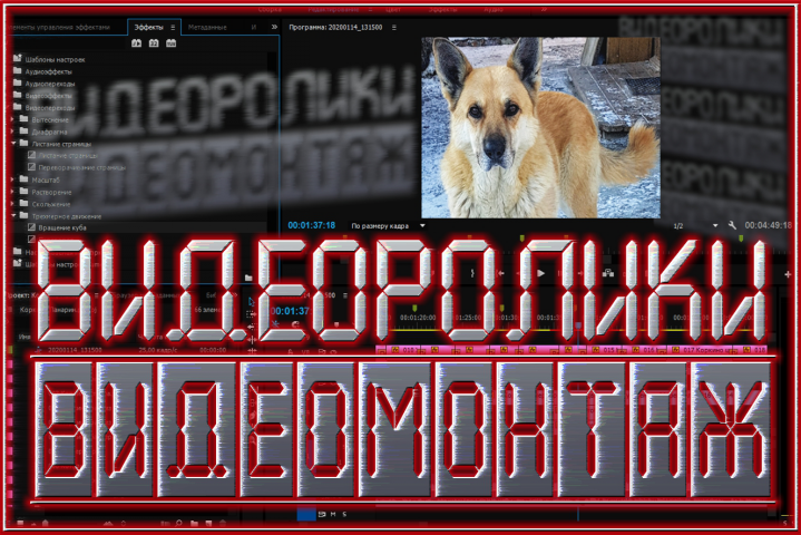 смонтирую видео