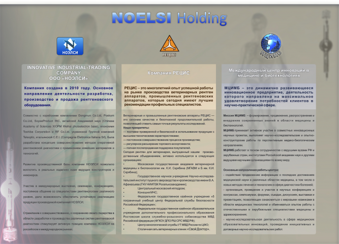 Презентация для компании Ноэлси