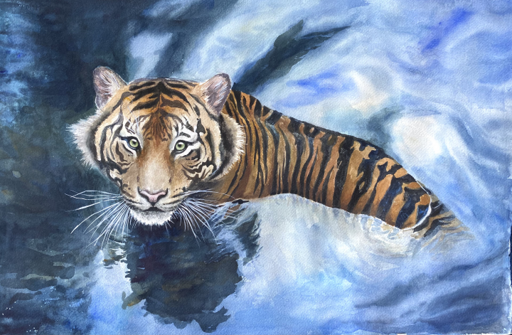 Tiger