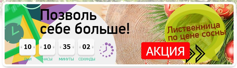 акция.PNG