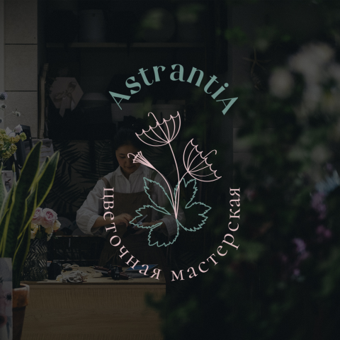 Astrantia