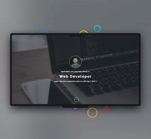 Developer