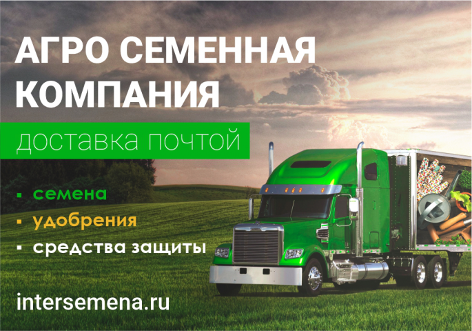 Баннер "доставка почтой"