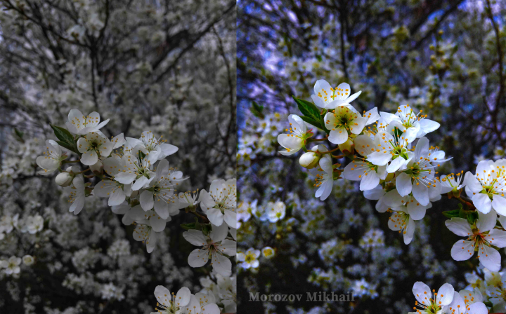 Цветокоррекция