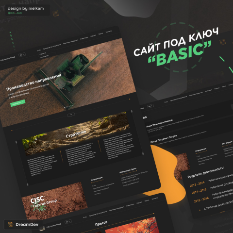 Новостной сайт для аграрки на WP