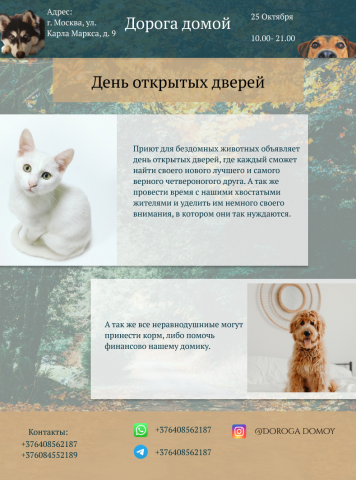 Флайер