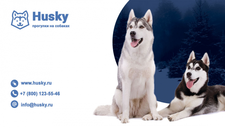 Визитка хаски