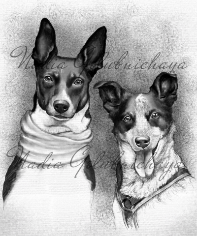 Работа 4071294