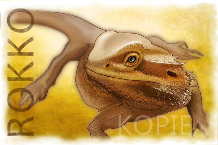 Работа 4071304