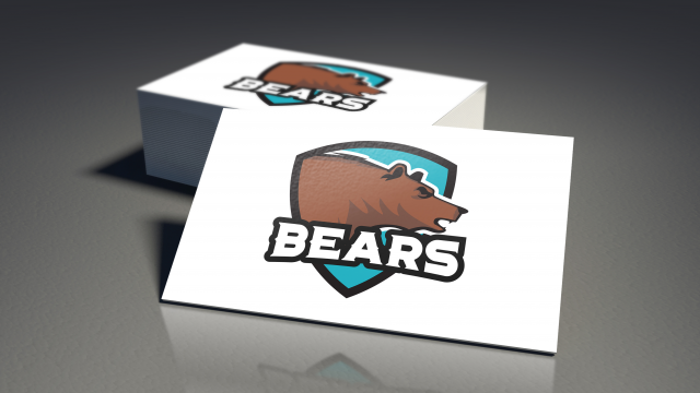 Логотип для "Bears"