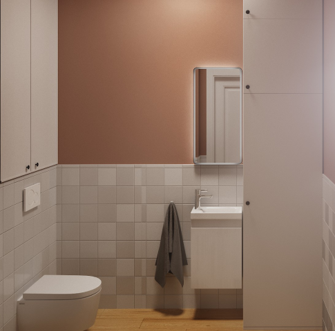 Санузел из проекта квартиры в Сокольниках