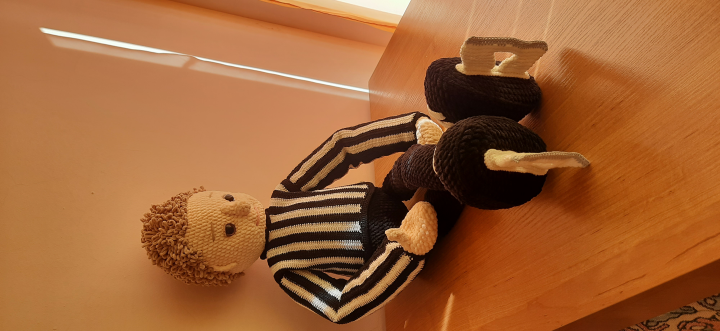 Хоккейный арбитр.