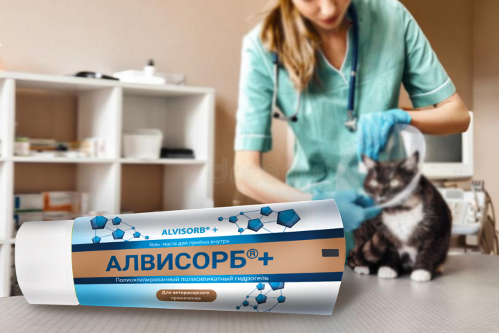 Дизайн тубы  для ветеринарного геля