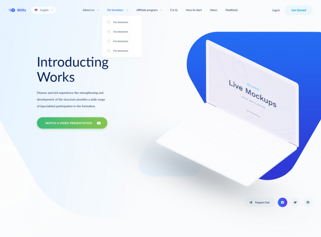 Bitify // Инвестиционный проект