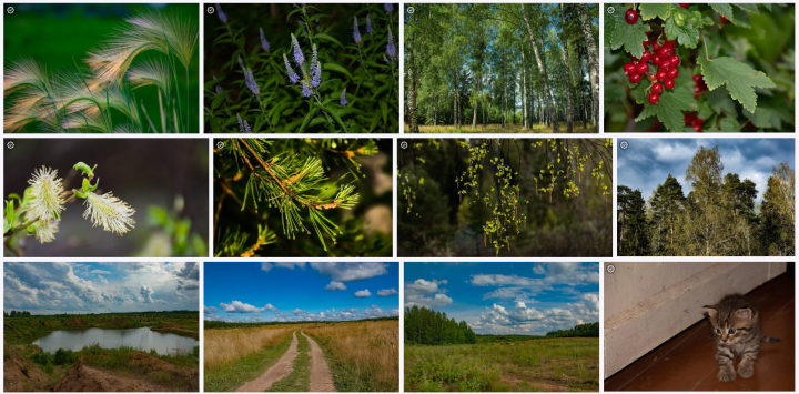Ссылка на аккаунт Pixabay
