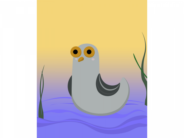 Duck