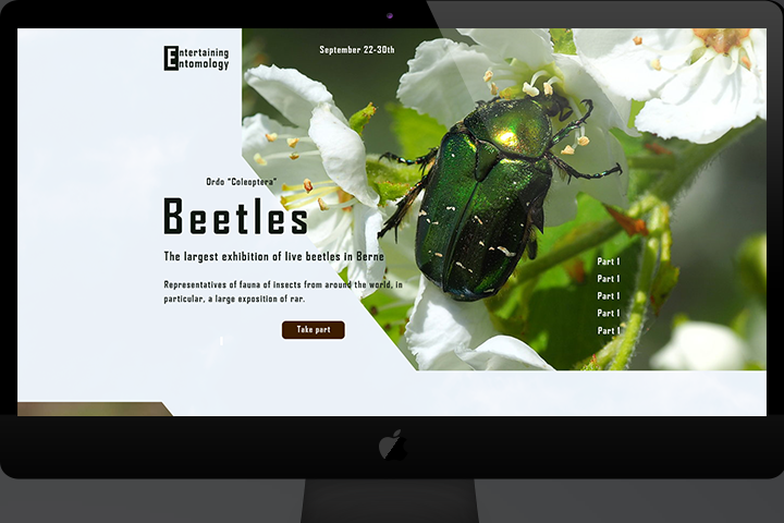 The largest exhibition of live beetles in Berne