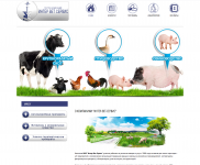 Интер Вет Сервис