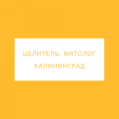 Целитель, витолог. Калининград