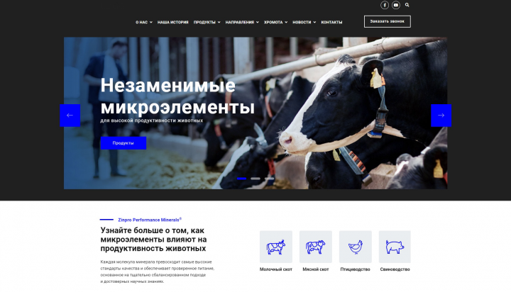 Разработка сайта: "Zinpro Corporation"