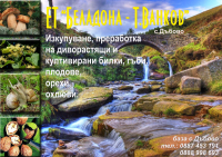 Работа 2522834