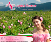 Работа 2522761