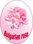 Работа 2522812