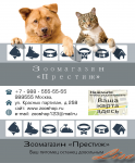 Визитка 4