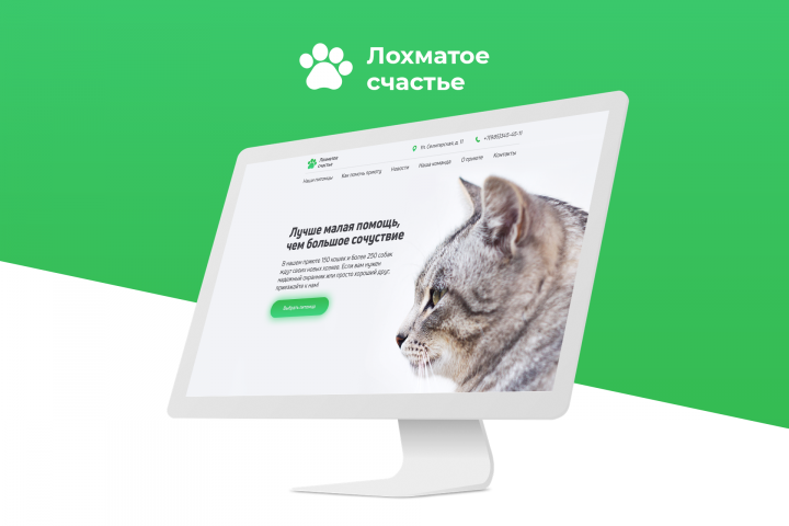 Лохматое счастье | Приют для животных