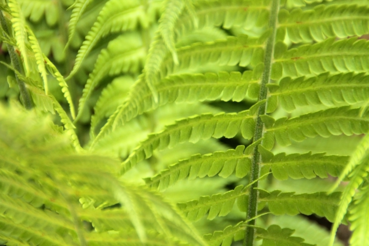 Работа 4023150