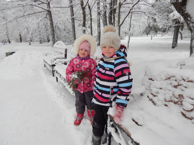 зимнее фото