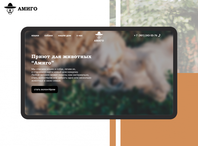 Лендинг приюта для животных Амиго