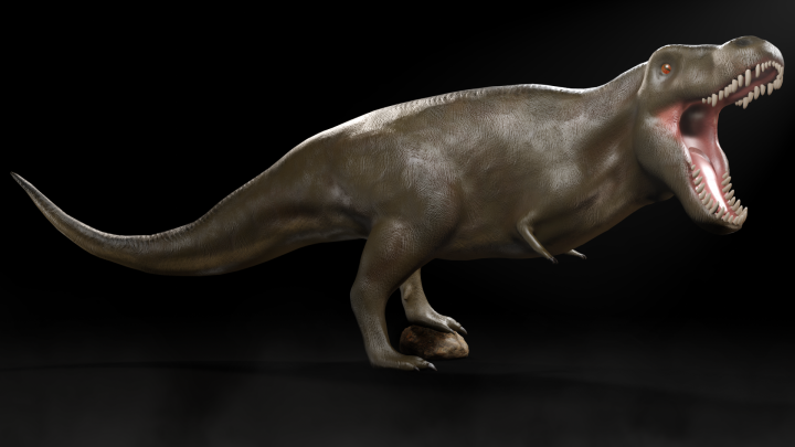 Tyrannosaurus Rex